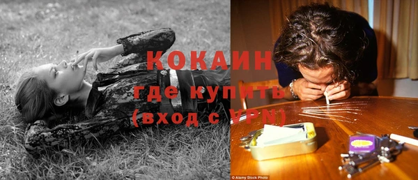 ешки Алексин
