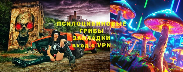 ешки Алексин
